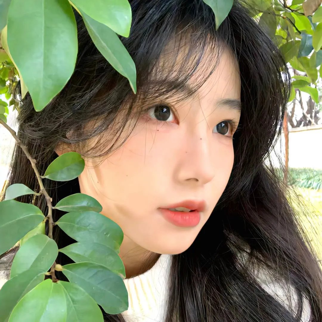 横囧青春